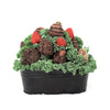 Valentine's Day Chocolate Dipped Strawberries Tin, Los Angeles Blooms-Los Angeles Delivery