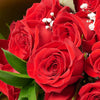 Valentine's Day Dozen Red Roses Bouquet. Valentine's Day gifts. Los Angeles Blooms - Los Angeles Delivery.