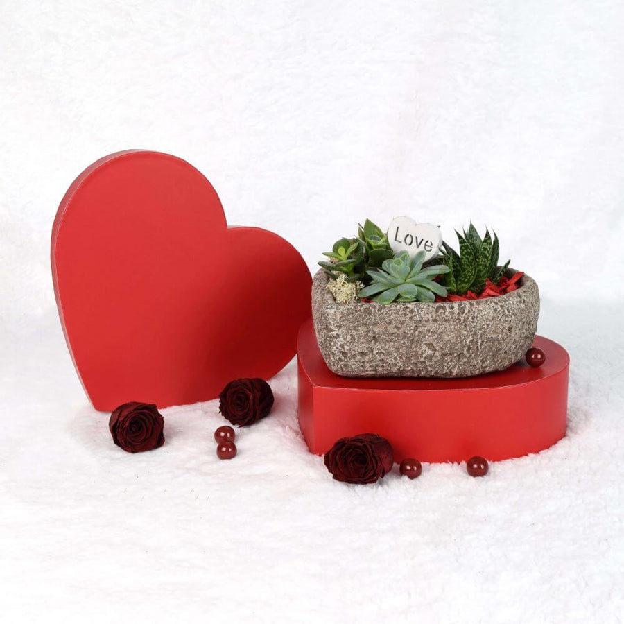 Valentine's Day Heart Succulent Trio - Los Angeles Delivery.