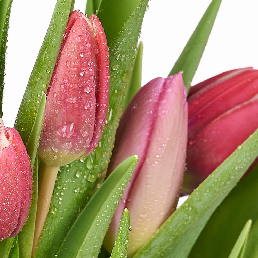 Valentine's Day Seasonal Bouquet, Los Angeles Blooms Same Day Flower Delivery, Valentine's Day gifts, tulips, seasonal