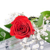 Valentine's Day Single Red Rose, Los Angeles Blooms- Los Angeles Delivery