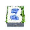 Welcome Baby Boy Flower Box. Baby Shower Floral Hat Box - Los Angeles Delivery.