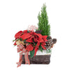 Christmas, Holiday, Mix Floral Arrangement, Floral Arrangement, Holiday Arrangement delivery, Los Angeles Blooms.
