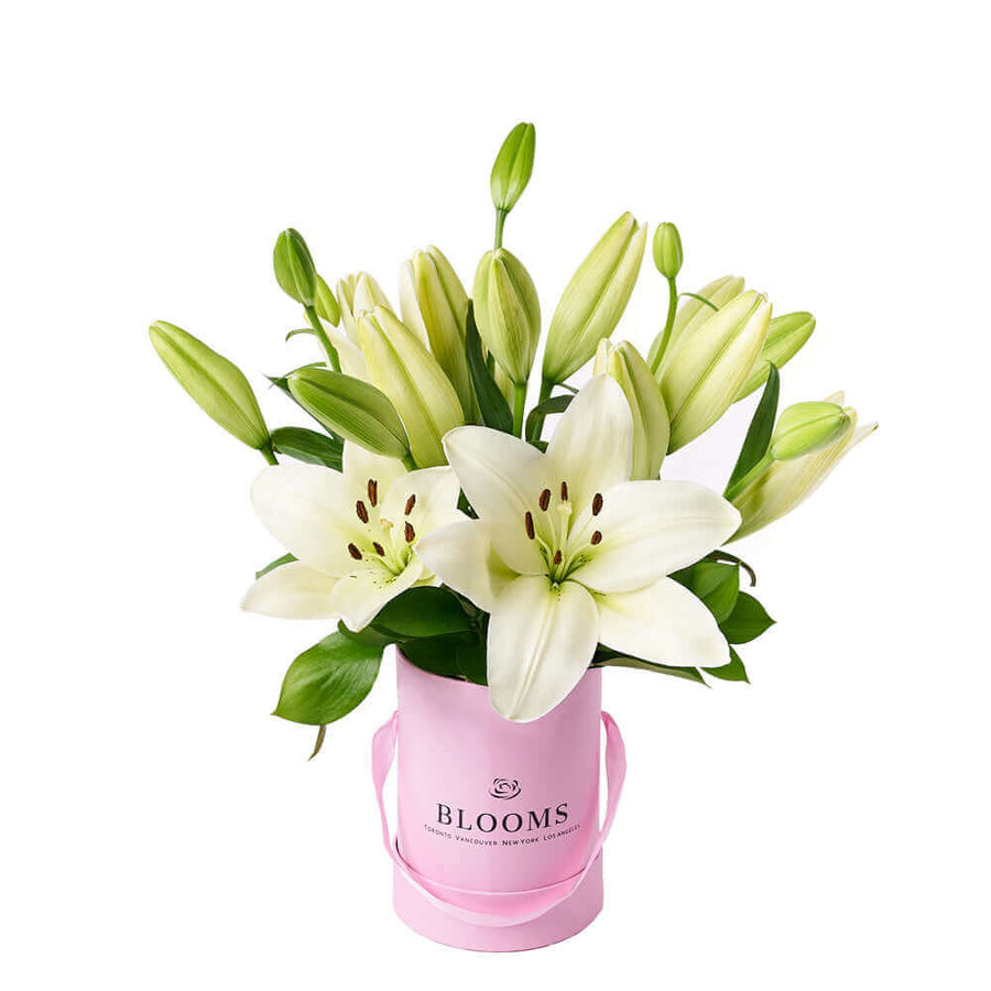 Wondrous Cream Lily Hat Box, lily gift, Flower Gift, Mother's day, Floral gift Los Angeles Blooms delivery.