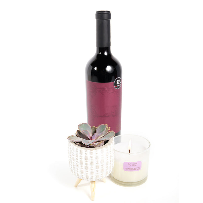 "You're Special" Plant & Wine Gift - Wine Gift Set – Los Angeles Blooms - Los Angeles Delivery