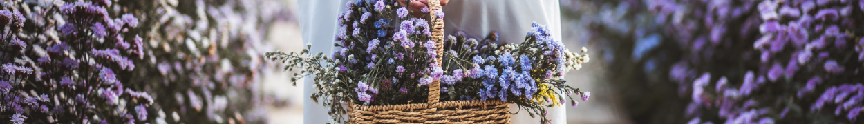 Same day flower delivery Toronto – Toronto flowers gifts