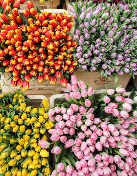 Same day flower delivery Toronto – Toronto flowers gifts