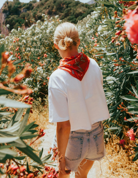 Same day flower delivery Toronto – Toronto flowers gifts