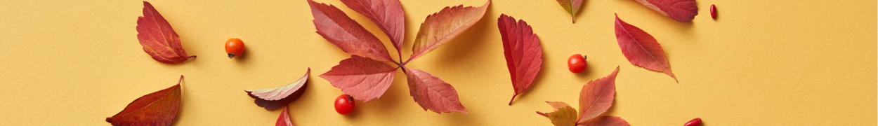 Same day flower delivery Toronto – Toronto flowers gifts