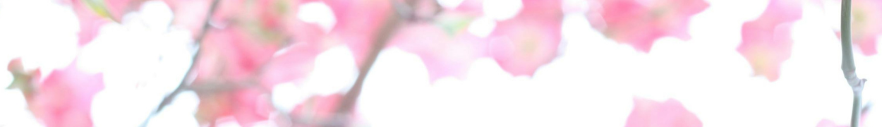 Same day flower delivery Toronto – Toronto flowers gifts