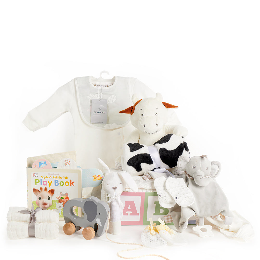 ABC Baby Gift Basket – Los Angeles Blooms - Los Angeles Delivery