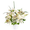Alabaster Mixed Lily Arrangement – Lily Gifts – Los Angeles Delivery