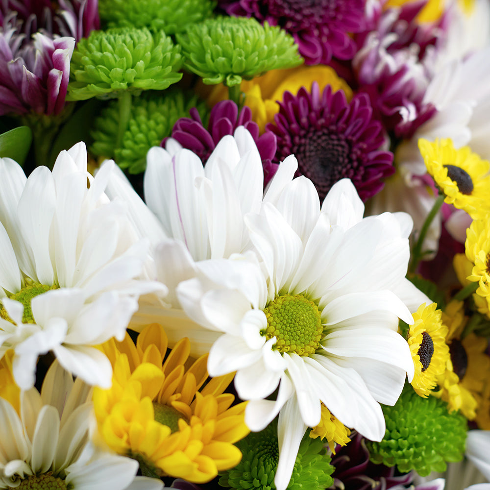 Be A Wildflower Daisy Bouquet from Los Angeles Blooms - Mixed Flower Gift - Los Angeles Delivery.