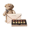 Bear & Love Letter Truffle Gift, chocolate gift, chocolate, gourmet gift, gourmet, plush gift, plush  | Los Angeles Delivery