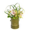 “Berry Special” Orchid Arrangement – Orchid Gifts –  Los Angeles Blooms