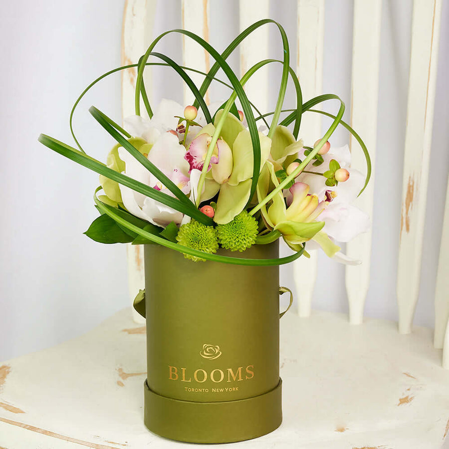 “Berry Special” Orchid Arrangement – Orchid Gifts –  Los Angeles Blooms