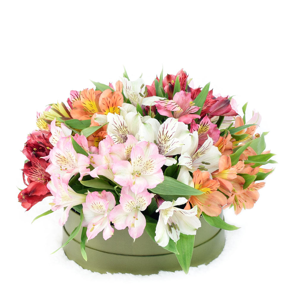 Brilliant Lily Hat Box. – Los Angeles Blooms - Los Angeles Delivery