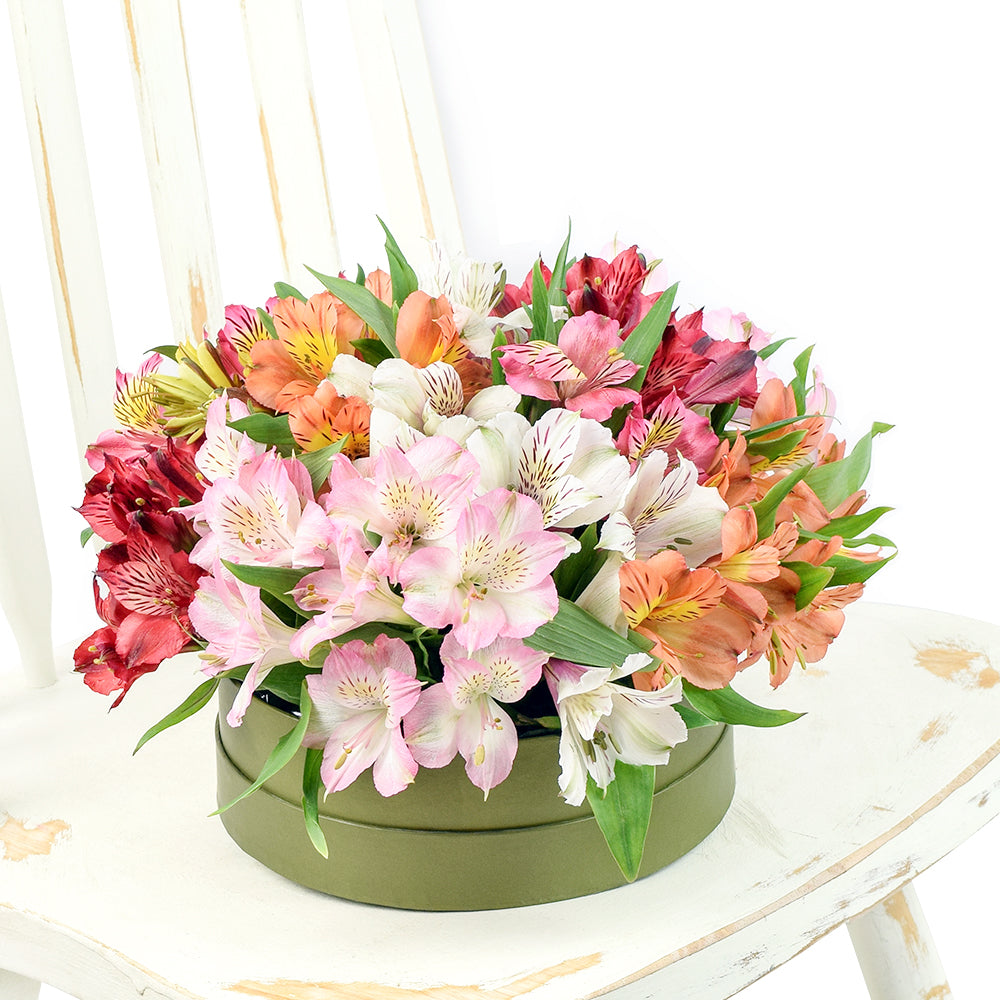 Brilliant Lily Hat Box. – Los Angeles Blooms - Los Angeles Delivery