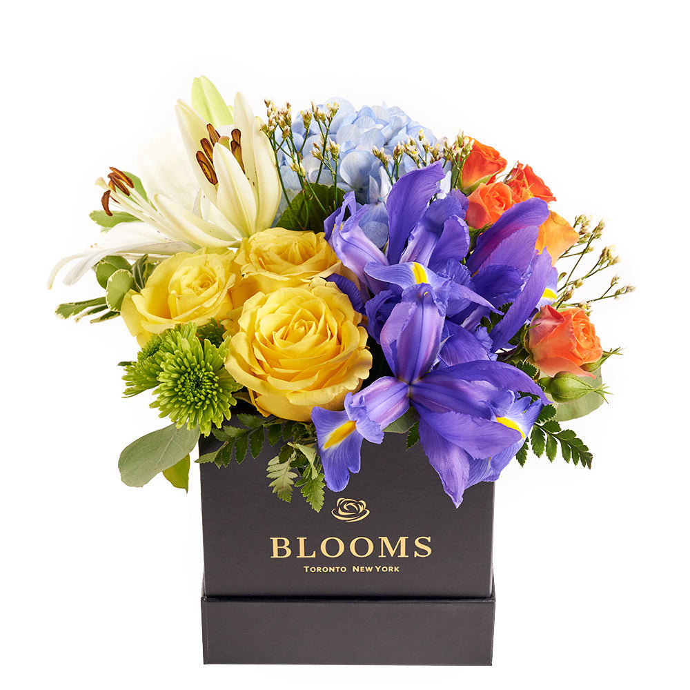 Bursting Beauty Iris Box Arrangement – Los Angeles Blooms - Los Angeles Delivery