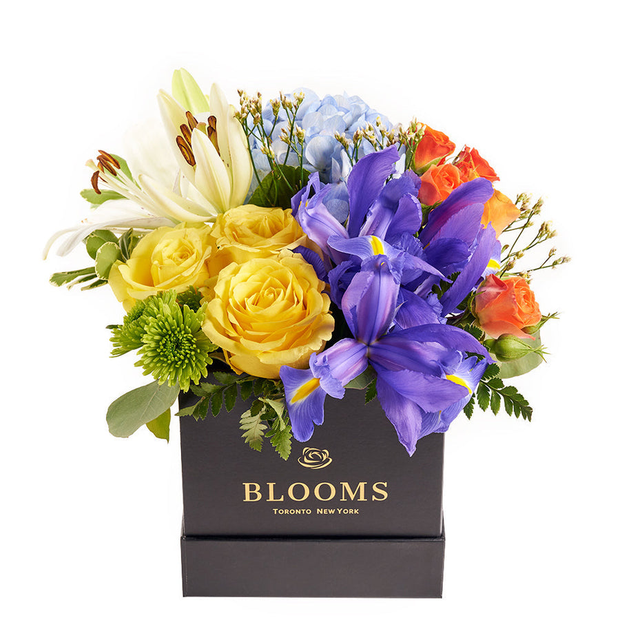 Bursting Beauty Iris Box Arrangement – Los Angeles Blooms - Los Angeles Delivery