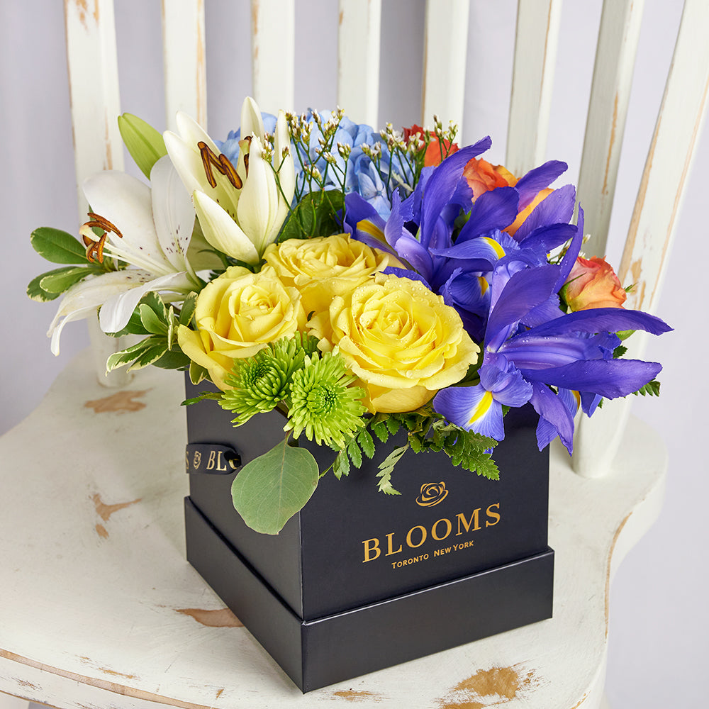 Bursting Beauty Iris Box Arrangement – Los Angeles Blooms - Los Angeles Delivery