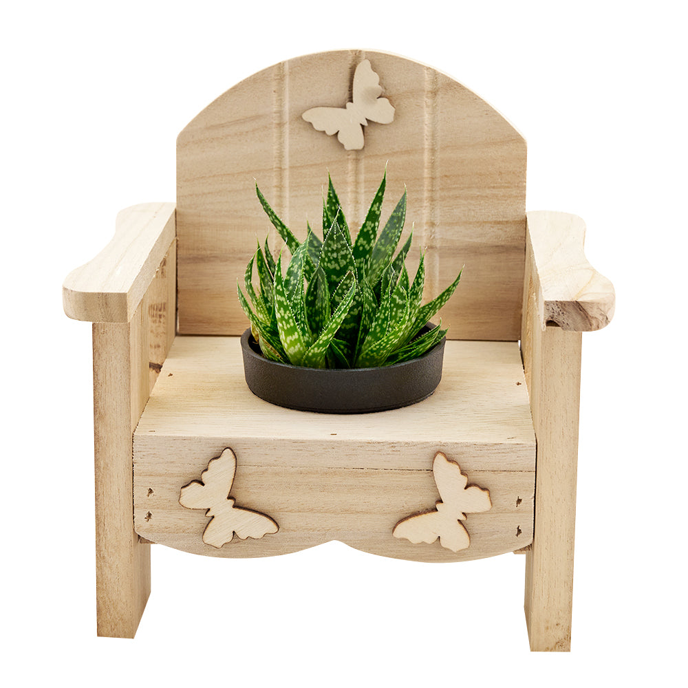 Butterfly Planter Chair Arrangement. – Los Angeles Blooms - Los Angeles Delivery