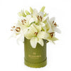 Cornsilk Surprise Lilies Box Arrangement from Los Angeles Blooms - Flower Gift - Los Angeles Delivery.