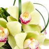 Delicate Pastel Orchid Floral Gift - Orchid Hat Box - Los Angeles Blooms- Los Angeles Delivery
