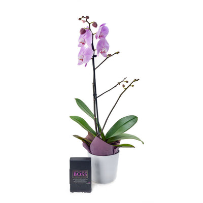 Floral Treasures Flowers & Chocolate Gift. Orchid Gift Set - Los Angeles Delivery.