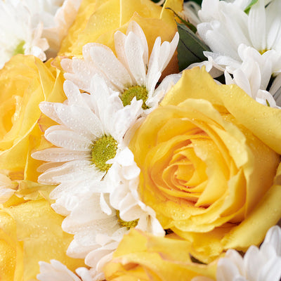 Floral Fantasy Daisy Bouquet from Los Angeles Blooms - Flower Gift - Los Angeles Delivery.