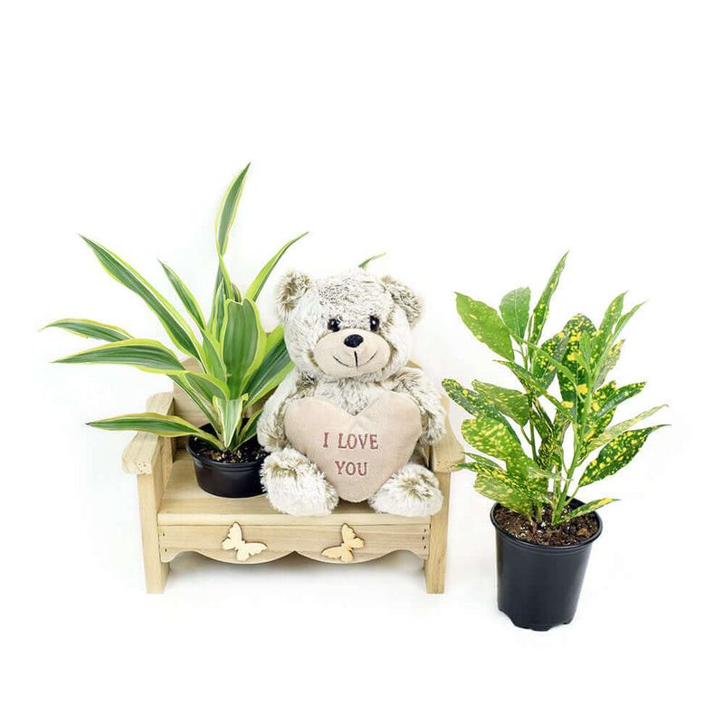 The Gardener's Chair. Los Angeles Blooms - Los Angeles Delivery