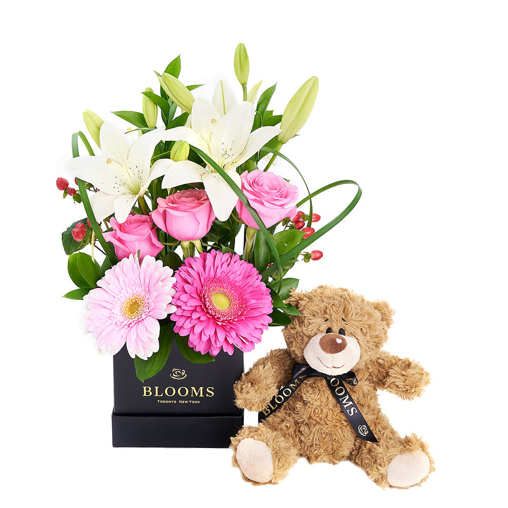 Gerbera Floral Arrangement &amp; Bear Gift Set – Floral Gifts – Los Angeles delivery