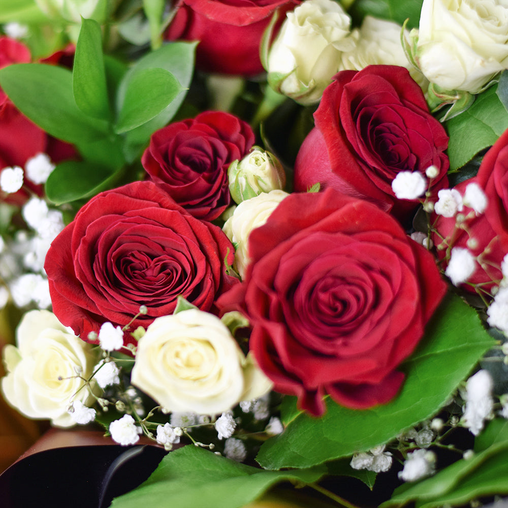 Harmony Mixed Rose Bouquet from Los Angeles Blooms - Flower Gift - Los Angeles Delivery.