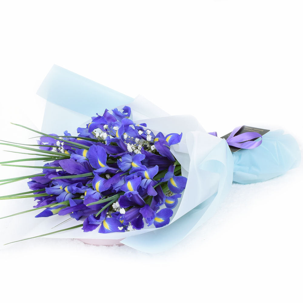 Lavender and Violet Iris Bouquet with Baby's Breath – how the gift is presented