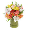 Livewire Lilies Flower Gift - Los Angeles Delivery.
