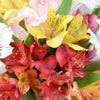 Livewire Lilies Flower Gift - Los Angeles Delivery.