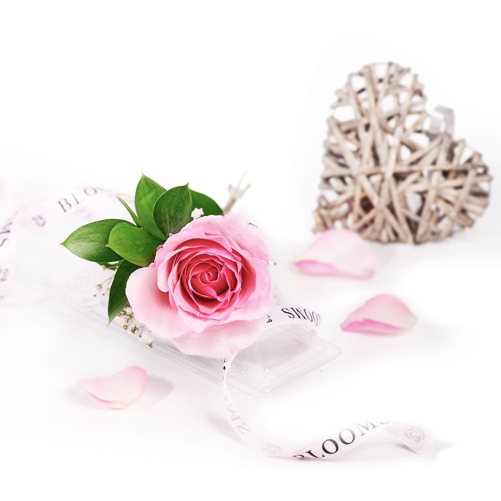 Single Pink Rose for Mother's Day in Clear Case – how the gift is presented