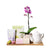 Orchid & Gourmet Tea Gift Set