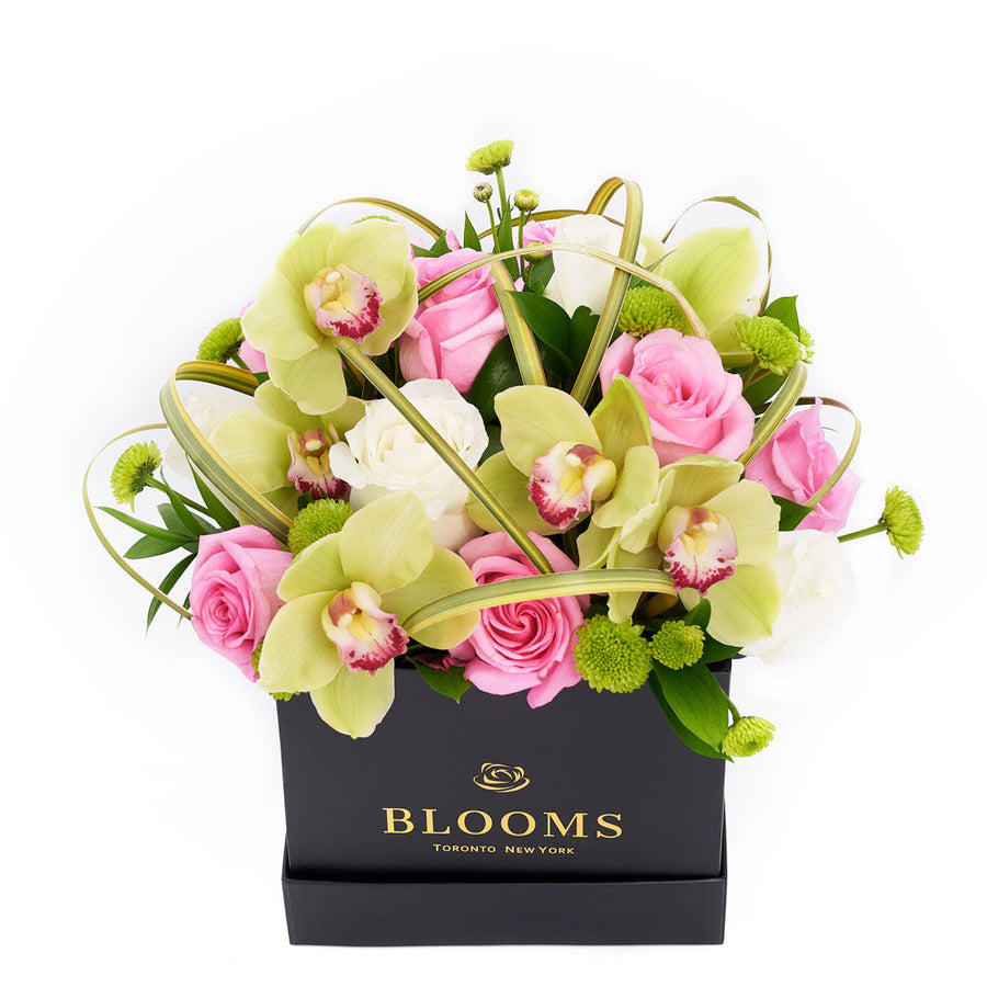 Orchid & Rose Forever Floral Gift - Floral Arrangement Gift - Los Angeles Blooms