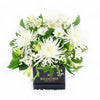 White floral mixed hat box arrangement. Los Angeles Blooms