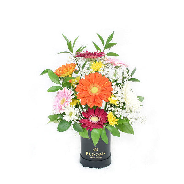 Pops of Cheer Mixed Floral Centerpiece