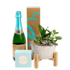 Reasons to Celebrate Plant & Champagne Gift - Wine Gift Set - Los Angeles Blooms