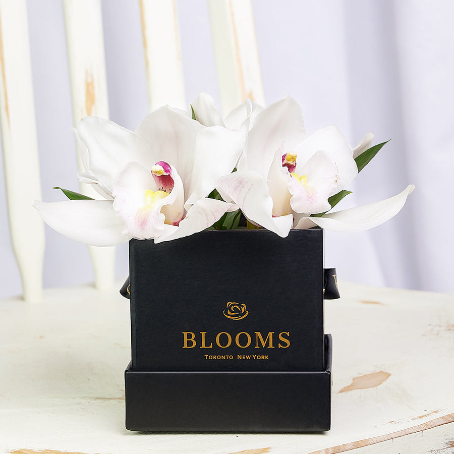 Simple Orchid Gift Box– Orchid Gifts– Los Angeles Blooms-Los Angeles Delivery