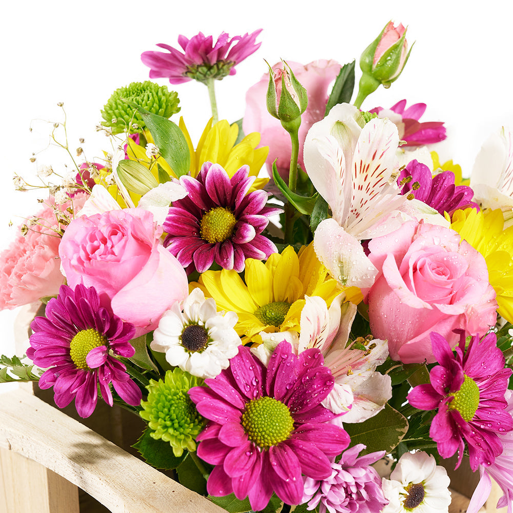 Slice of Nature Garden Chair  - Mixed Flower and Chair Gift Set - Los Angeles Blooms