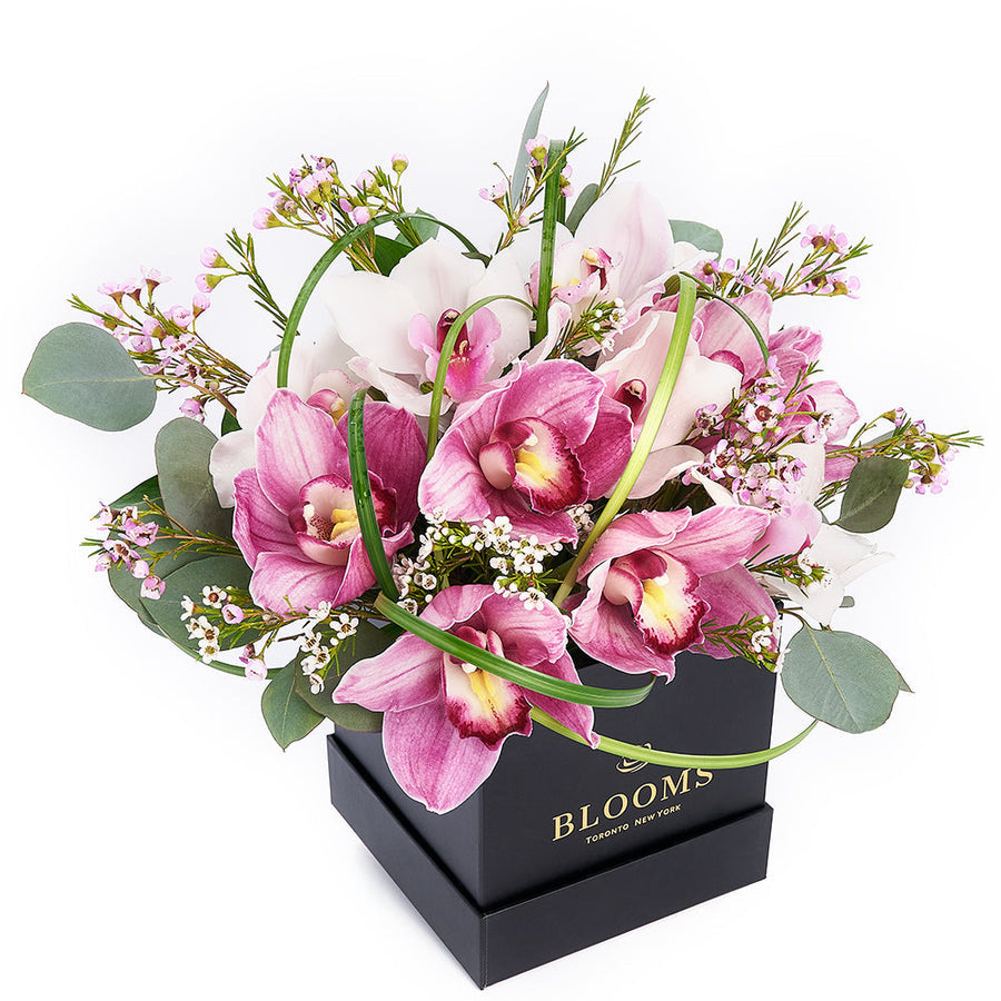 Softly Pink Orchid Box Arrangement – Orchid Gifts – Los Angeles Blooms