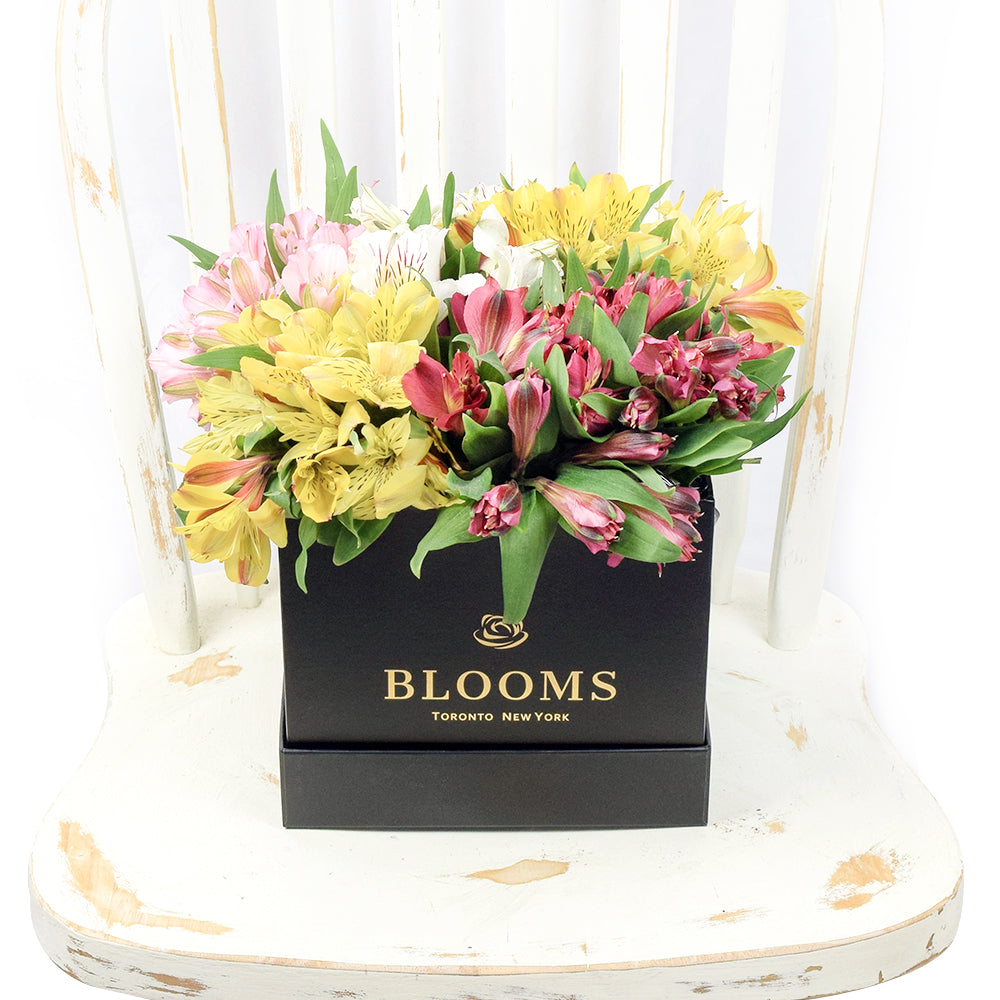 Spring Bloom Peruvian Lily Hat Box from Los Angeles Blooms - Mixed Floral Gift - Los Angeles Delivery.