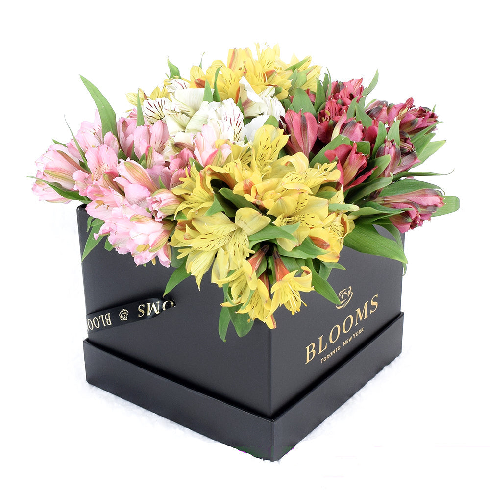 Spring Bloom Peruvian Lily Hat Box from Los Angeles Blooms - Mixed Floral Gift - Los Angeles Delivery.