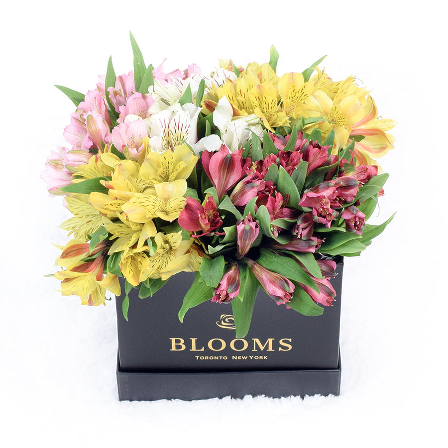 Spring Bloom Peruvian Lily Hat Box from Los Angeles Blooms - Mixed Floral Gift - Los Angeles Delivery.