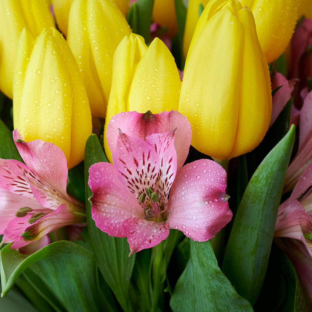 Spring Radiance Mixed Bouquet. Los Angeles Blooms - Los Angeles Delivery