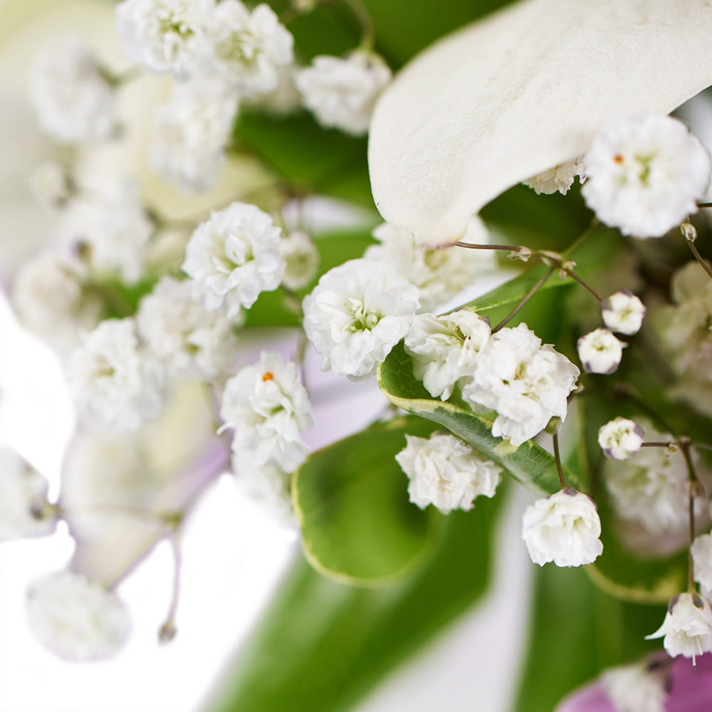 Spring Rose & Lily Arrangement – Floral Gifts –  Los Angeles Blooms